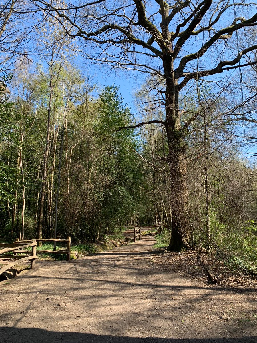 HorshamBlog's tweet image. Another lovely #Horsham countryside walk - Leechpool and Owlbeech woods. With five different trails, including a sculpture trail, there's something to enjoy for everyone!