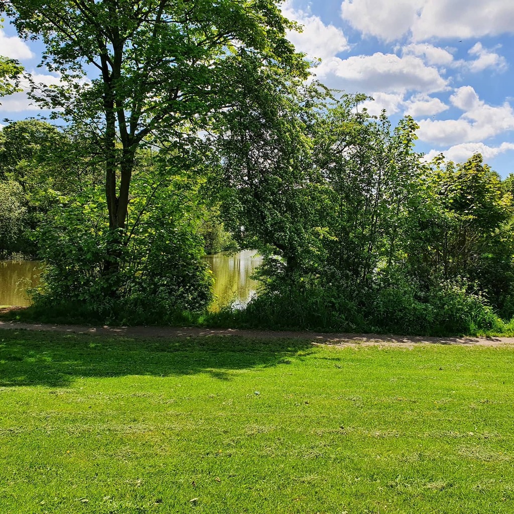 PurpleTulipCo's tweet photo. Long break between services today and it's ideal weather for a visit to Essington Pools. Well there's only so much time you can spend in TK Maxx! #ruthfuneralcelebrant #wolverhamptonfuneralcelebrant #westmidlandsfuneralcelebrant #staffordshirefuneralcele… https://t.co/7papWplT3b https://t.co/8tPFDIB99H