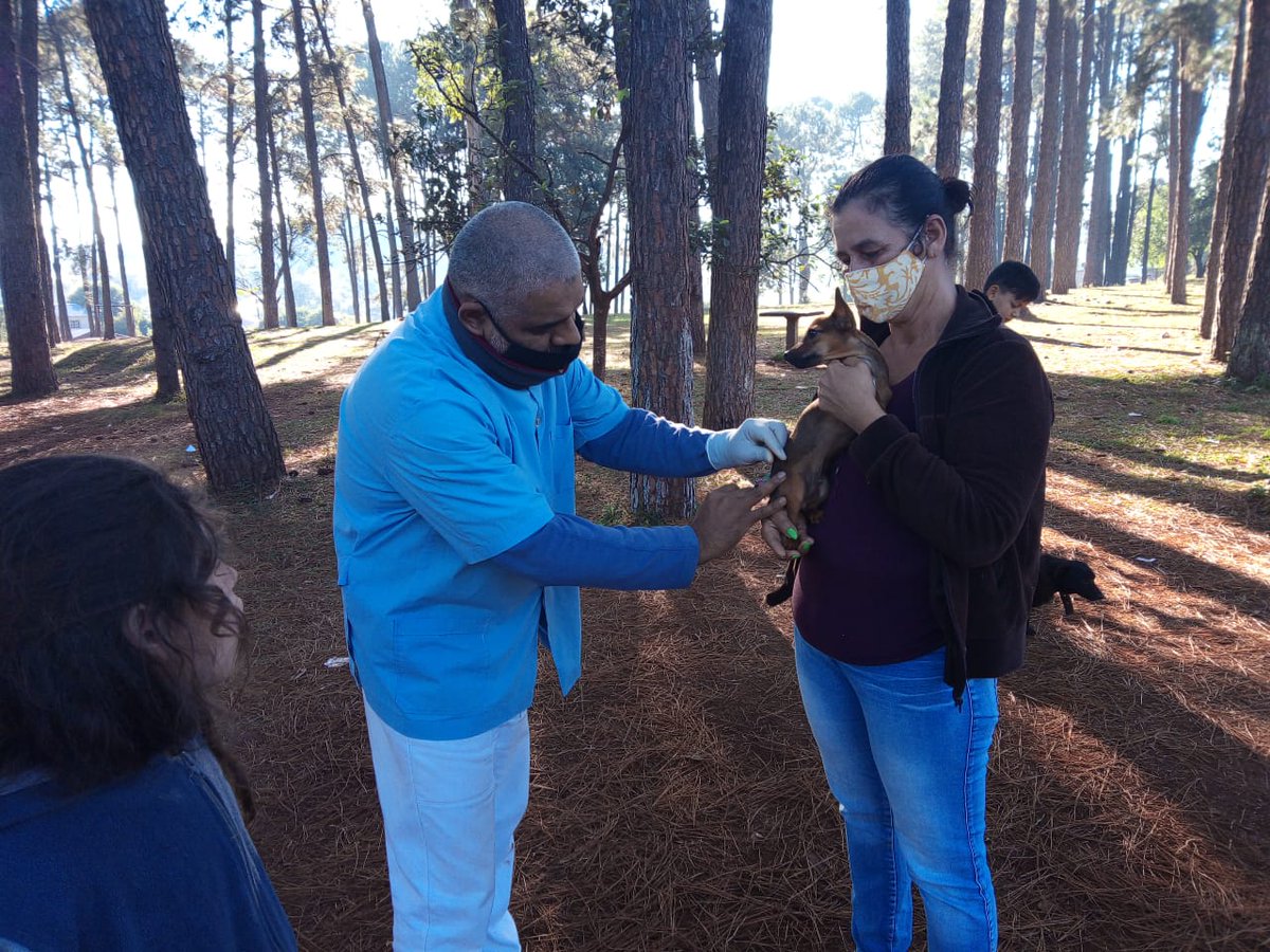 #VacunaciónAntirrábica en Barrio 100 Hectáreas - hasta las 11hs estamos en la Plaza de Boca.