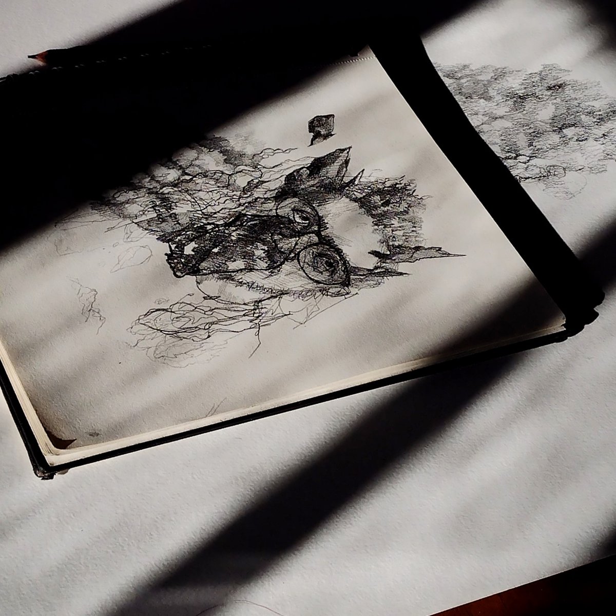 error acumulado y nube mas o menos artificial la motivación escapista siempre allá

guillermomena.com

#dibujo #drawing #sketchbook #lapiz #grafito #grafitosobrepapel #graphiteonpaper #worksonpaper #contemporaryart #illustration