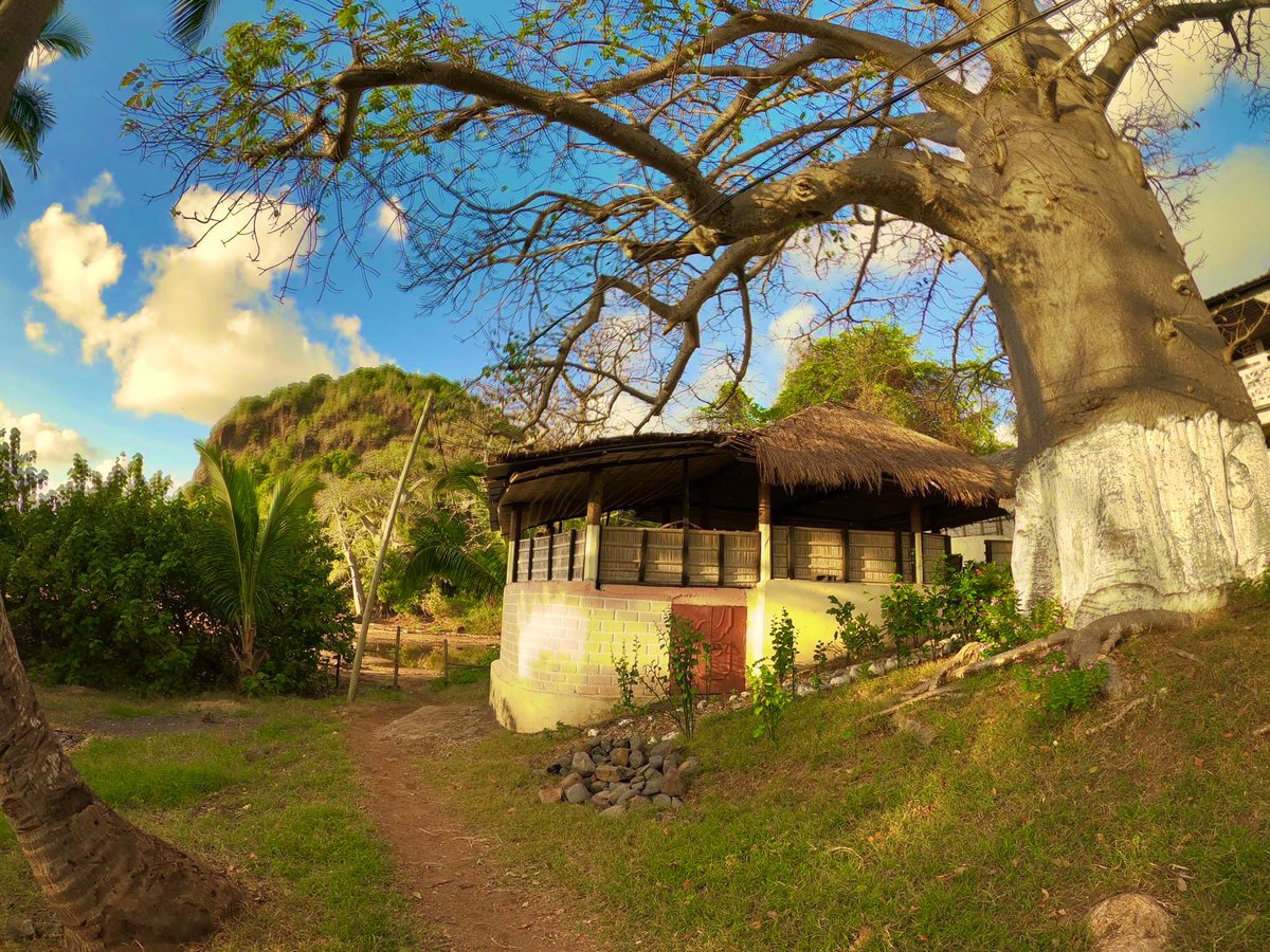 Office National du Tourisme des Comores tweet media