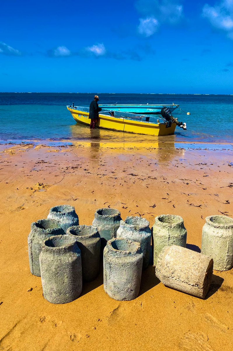 Office National du Tourisme des Comores tweet media