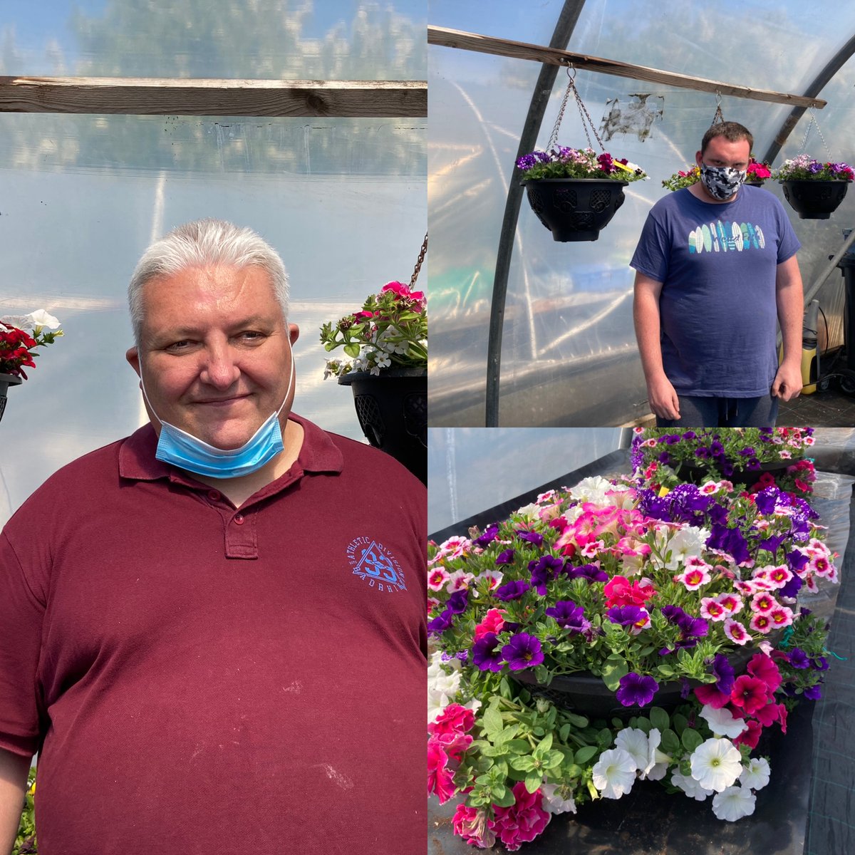 aagreenlight's tweet image. Kilns Court, Triangle Supported living receives their hanging baskets and window boxes from Greenlight garden centre