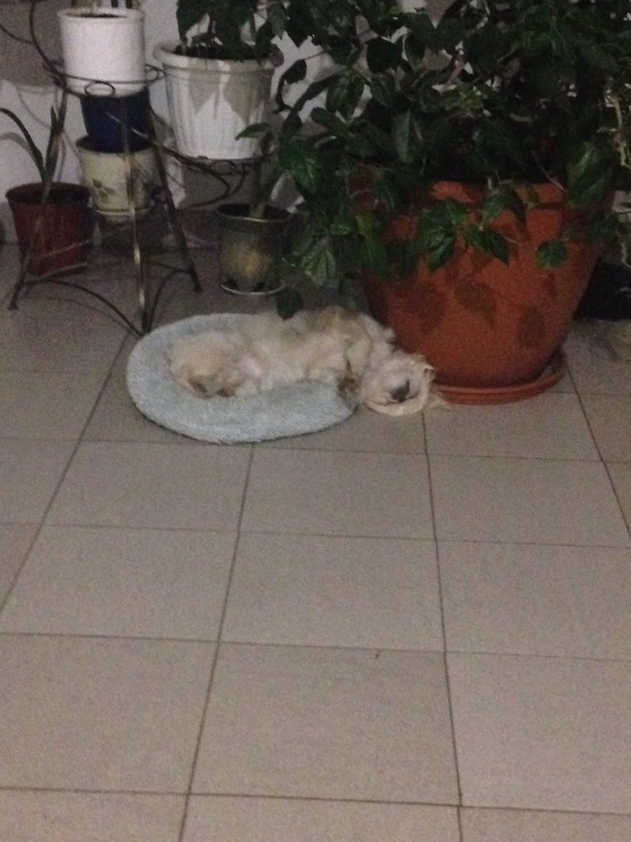 Спасение утопающего, дело рук самого утопающего