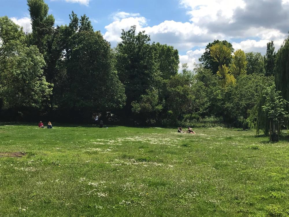 phoeb0's tweet photo. People, bees &amp; butterflies out enjoying wildflowers on top area of Peckham rye this lunchtime. Well done @lb_southwark more of this plz #NoMowMay #rewildinglondon https://t.co/j34KjR2yOF