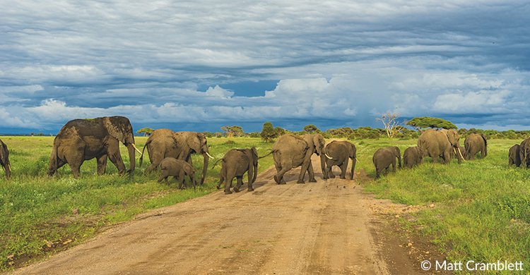 BonnConvention's tweet photo. 🔔New @UN resolution underscores the importance of #ecologicalconnectivity. 

It recognizes that maintaining and enhancing connectivity among ecosystems and habitats is crucial for the conservation and restoration of #biodiversity. 

[Read more] https://t.co/n7kYpkXsMZ https://t.co/9aAkvWTtAm