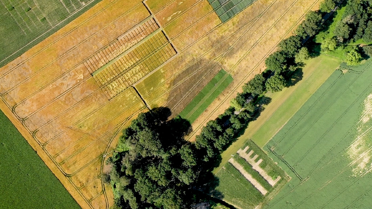 pohl_matthias's tweet photo. Landwirtschaft ist ein Schlüsselbereich, um negative Klimaauswirkungen zu reduzieren und gleichzeitig die Produktion von gesunden Lebensmitteln zu unterstützen. Mehr zu unseren Nachhaltigkeitsthemen am 02. Juni 2021 am gemeinsamen Medientag mit AGRAVIS https://t.co/nMfjox3mvv