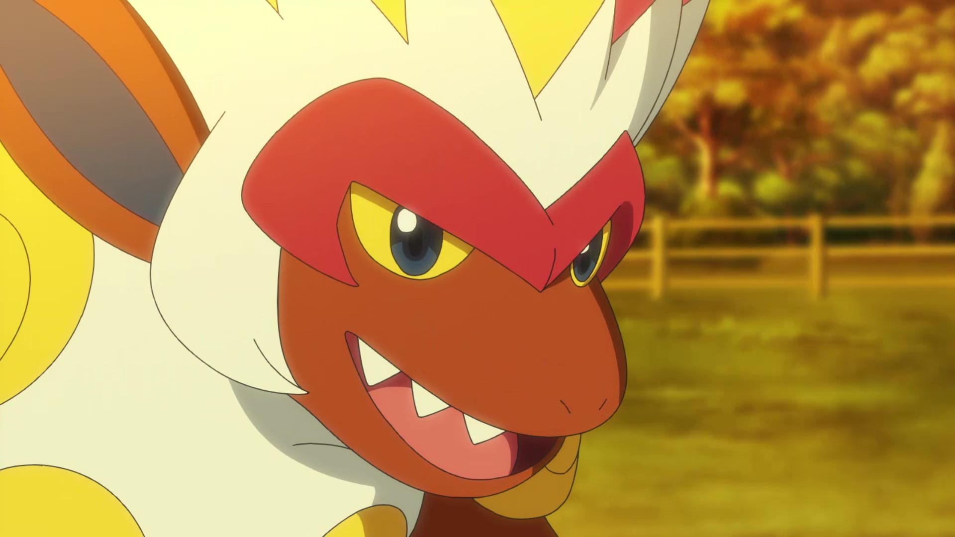 アニメ ポケットモンスター 公式 アニポケ ハイライト ヒコザル のときから共にシンオウ地方を旅した サトシの ゴウカザル 強くなるために日々努力を続け 更なる高みを目指すため ファイヤー にバトルを挑みに行っていました オーキド研究所