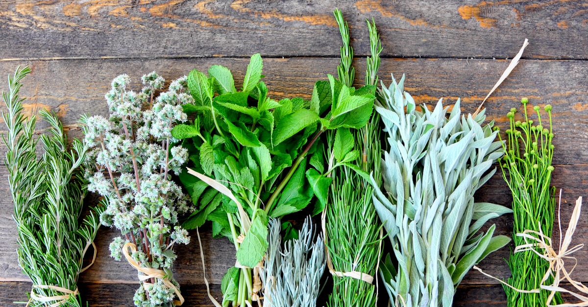 SalonsZenetBio's tweet photo. 📢 Saviez-vous que les #aromates étaient aussi sollicités en parfumerie et même en médecine ?? 🌿
Focus sur leurs nombreuses #vertus, si bien dans le domaine #culinaire que #thérapeutique !
#plantes #aromatherapie https://t.co/d0RnVIMSX8 https://t.co/5KiWZRdLFe