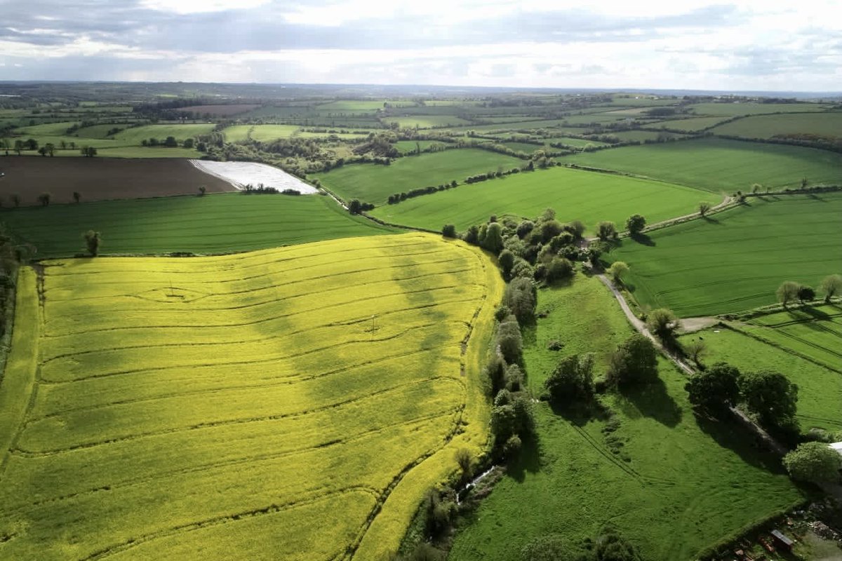 The best thing we do on our farm is rotations, here is 10 of our fields with 8 different crops! It helps in so many ways , even if it would be easier if they were all the same! #croprotation #whytebrosfarm #biodiversity