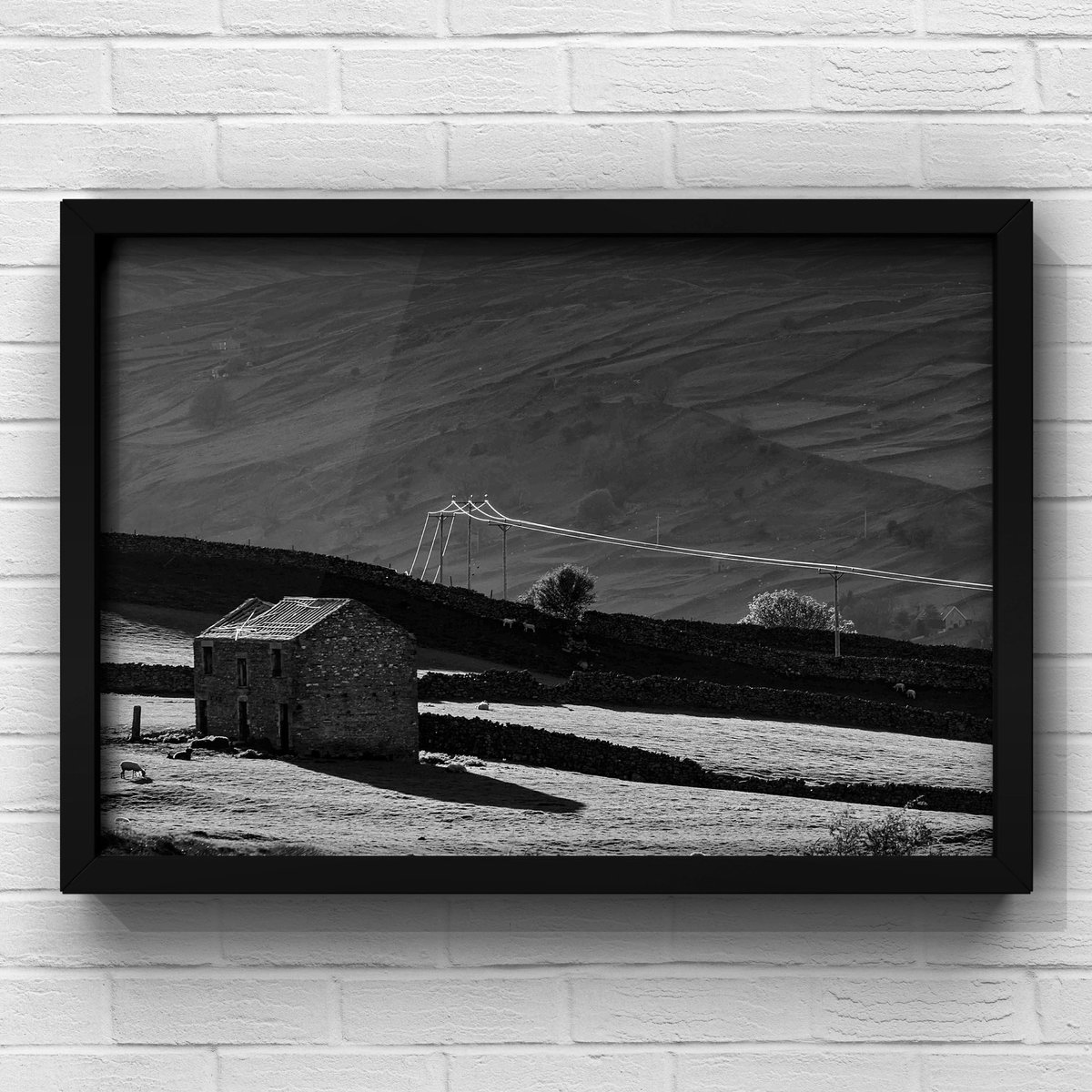 Scenicview Gallery 📸 #photographer tweet media