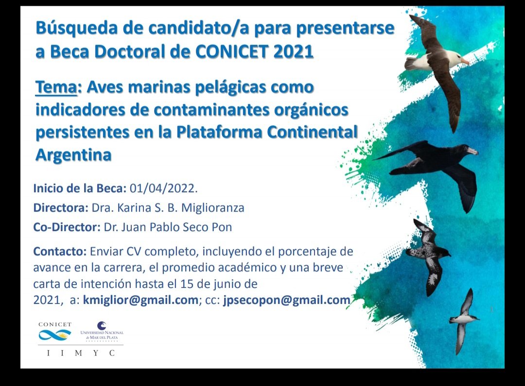 Compartimos información sobre postulación a beca doctoral CONICET