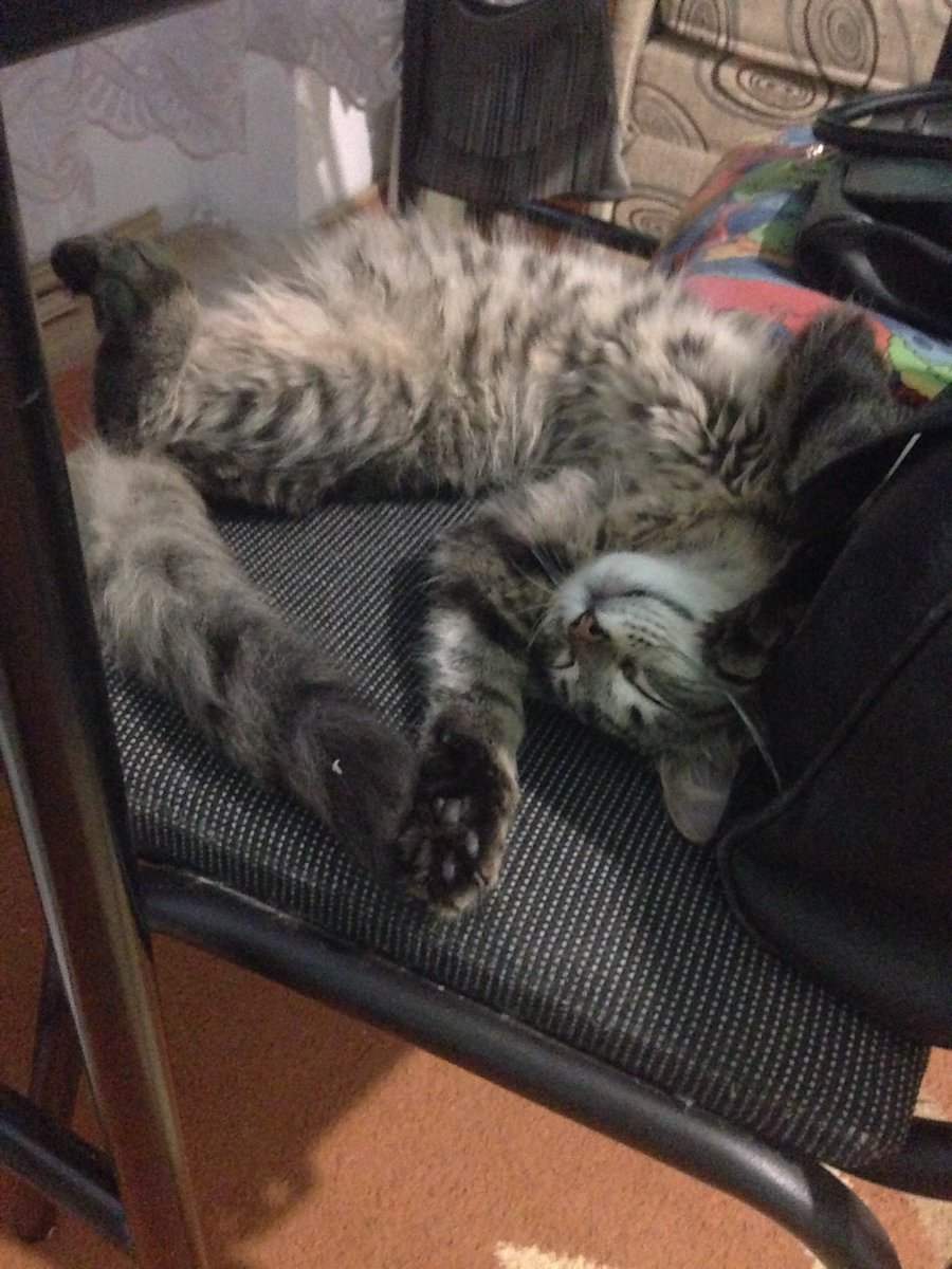 Позвоночник студента