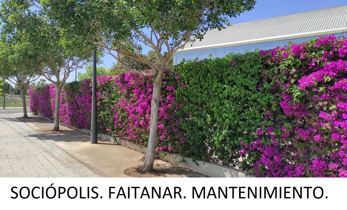 Ajuntament València tweet media