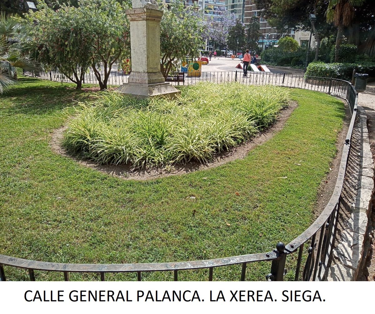 Ajuntament València tweet media