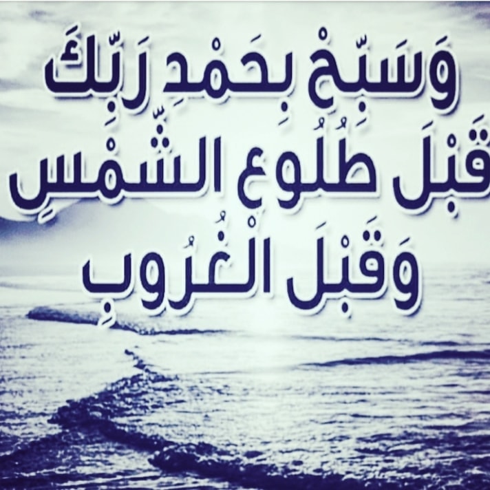 ساره (@sarasaman8) on Twitter photo 