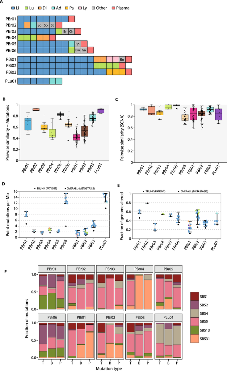 #cfDNA from rapid autopsies can capture #clonal and #subclonal alterations of #metastatic #tumours, and may reveal more drivers than single tissue biopsies

#CancerResearch <a href="/NatResCancer/">Cancer at Nature Portfolio</a>

go.nature.com/2QX6d4h