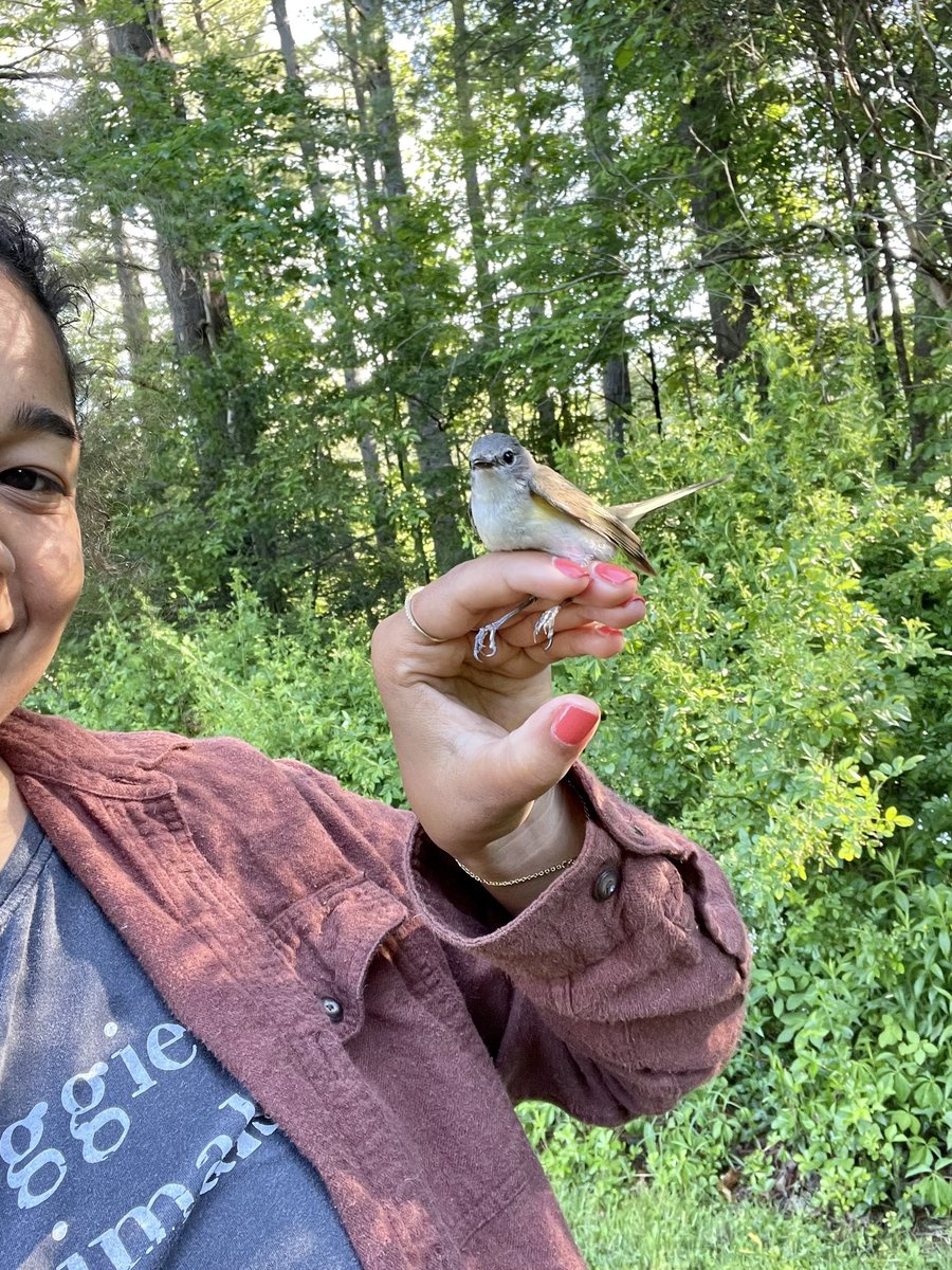 tati_teetee's tweet image. Morning ting #permitted #completelylegal