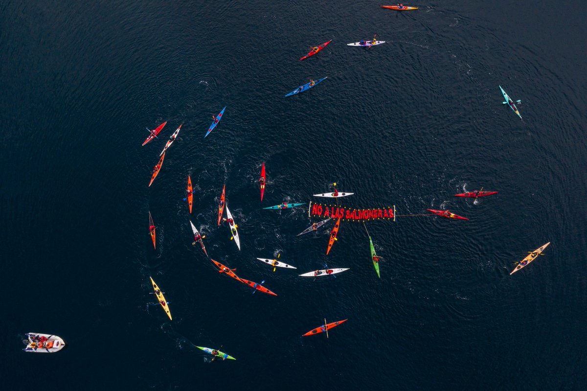 La razones para decirle NO a la salmonicultura en nuestro país SOBRAN, ¿qué estamos esperando? #NoALasSalmoneras <a href="/RewildingArg/">Rewilding Argentina</a> <a href="/patagonia/">Patagonia</a>