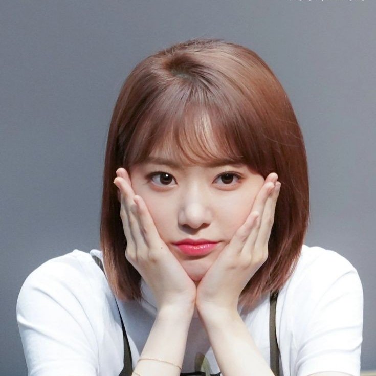 hourly sakura (@hoursakura) on Twitter photo 