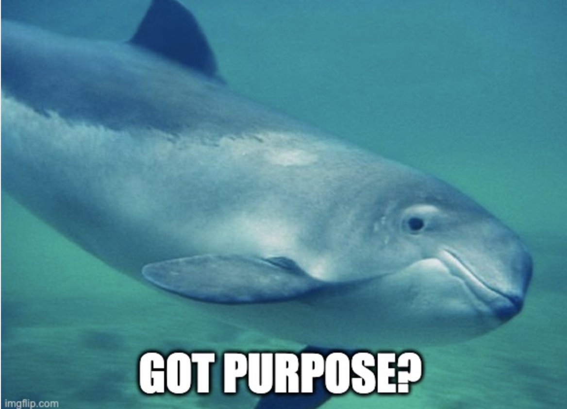Holly_Rains's tweet photo. The awards will recognise eco-conscious businesses reducing their impact and brands that are taking extra steps to be more sustainable. So if you're a brand with purpose, or a porpoise with purpose - enter now! https://t.co/TkXRKVM4mK