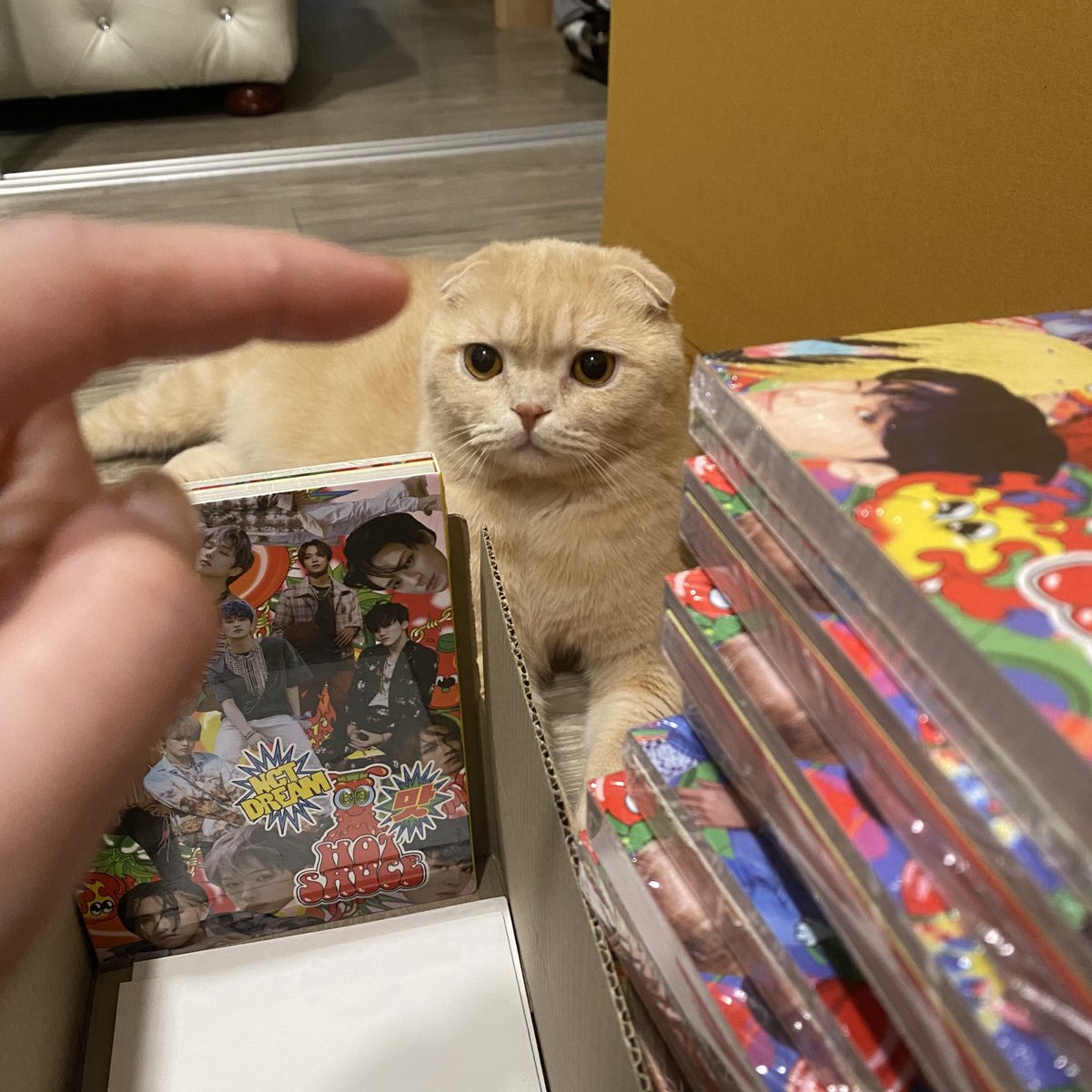 มาลุ้นการ์ดหรอ เมนใครตอบก่อน