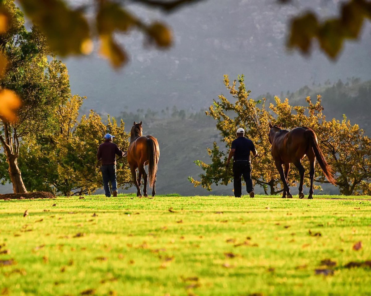 Young guns out for a walk, Lancaster Bomber and One World
