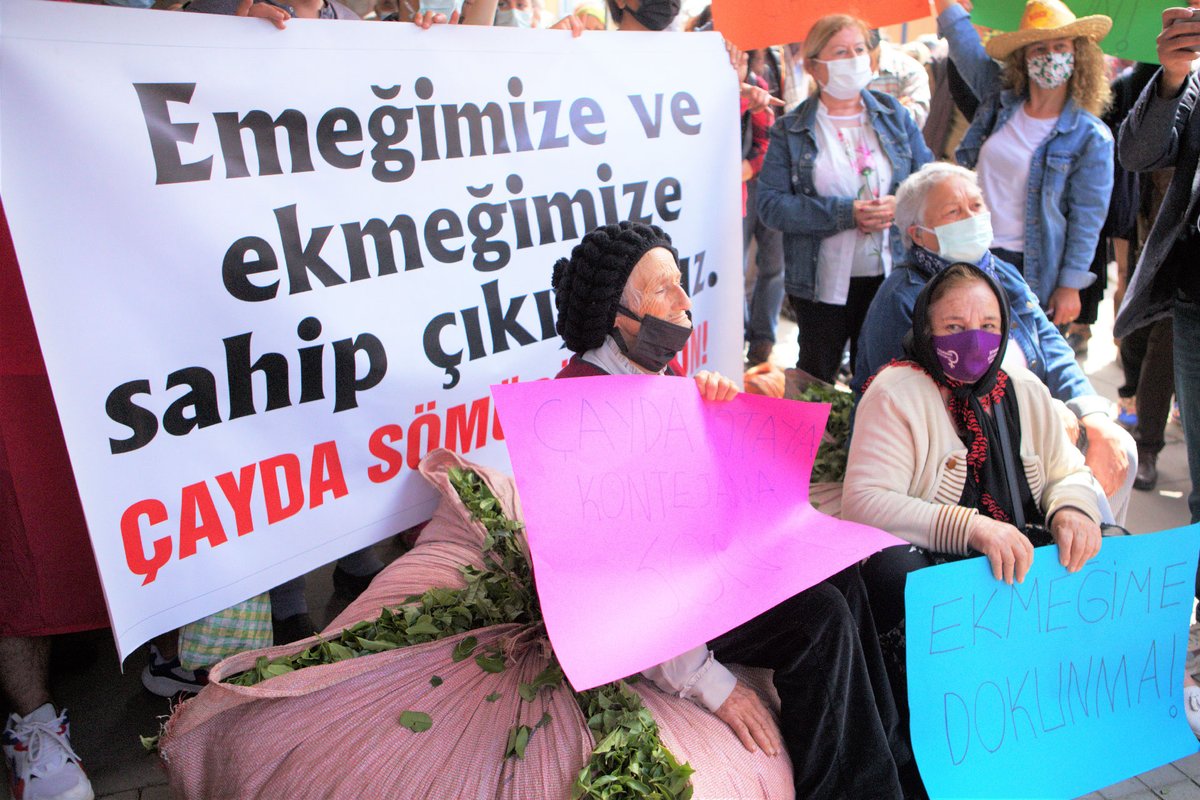 evrenselgzt's tweet photo. Üreticinin 5 lira talep ettiği, ÇAYKUR’un 4 lira dediği çay fiyatı 2 lira 80 kuruşa kadar düştü. Fiyat ve günlük kotaya isyan büyüyor. Rize'de eylem yapan üreticiler, yaş çayları yere dökerek Arvin-Rize kara yolunu trafiği kapattı

📷 Ali Osman Ertaş
https://t.co/HwhOBBh3T3 https://t.co/tYE5sjQ3HE