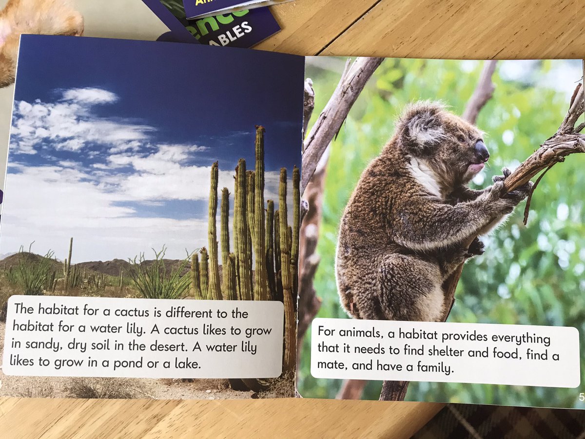 GomersalPSchool's tweet photo. So pleased with our new @JuniorLearning Science decodable books for EYFS and KS1 @GomersalPriSTEM @GomersalReading https://t.co/1nxV5X2PR7
