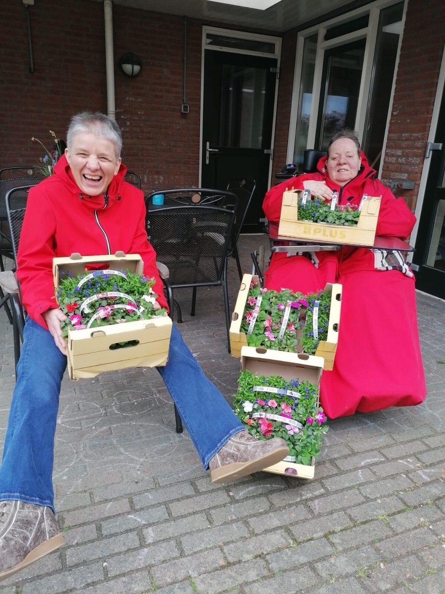 plusbedum's tweet image. PLUS supermarkten hadden een spaaractie voor perkplantjes.
Om ook wat vrolijkheid te brengen bij 's Heeren Loo, hebben PLUS Jeroen Juch uit Bedum en de PLUS Gils uit Groningen een enorme lading 🌷🌺🌹🌸🌼 aan 's Heeren Loo in Bedum geschonken.