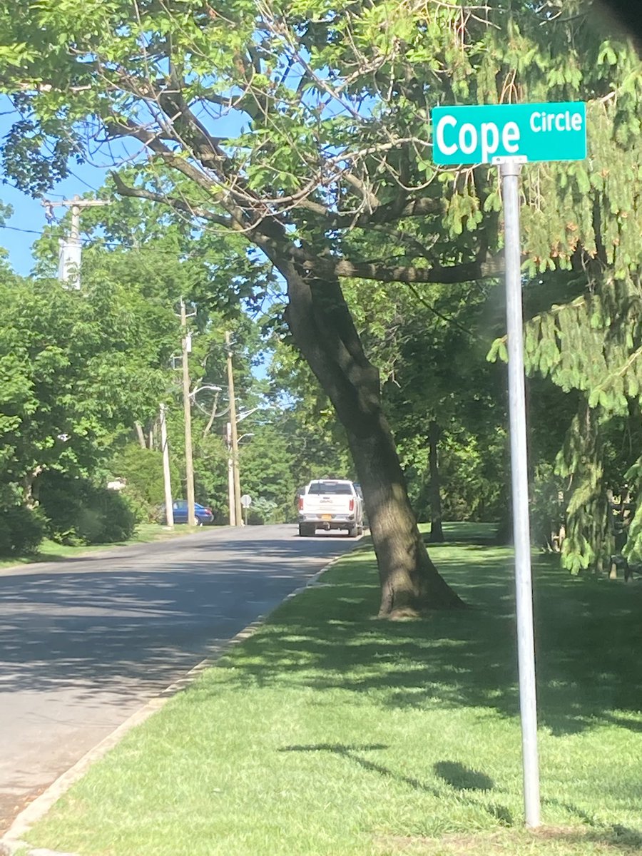 Jessinterrupted's tweet photo. Guys, took a wrong turn, ended up on Cope Circle! 

#coping #copingskills #dbt #selfcare #MusicHeals #coperyhmeswithhope #MentalHealthMonth #BPDAndMe https://t.co/lUOqB6IYuG