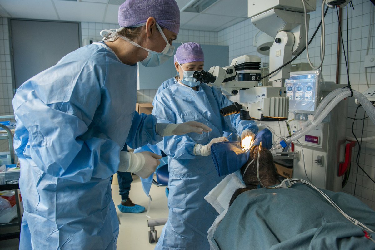 LUMC Leiden tweet media