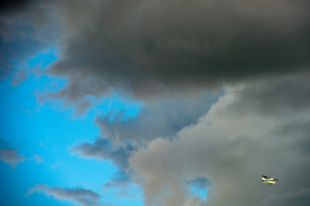 Matthew Bennett | Portraits.TO tweet media