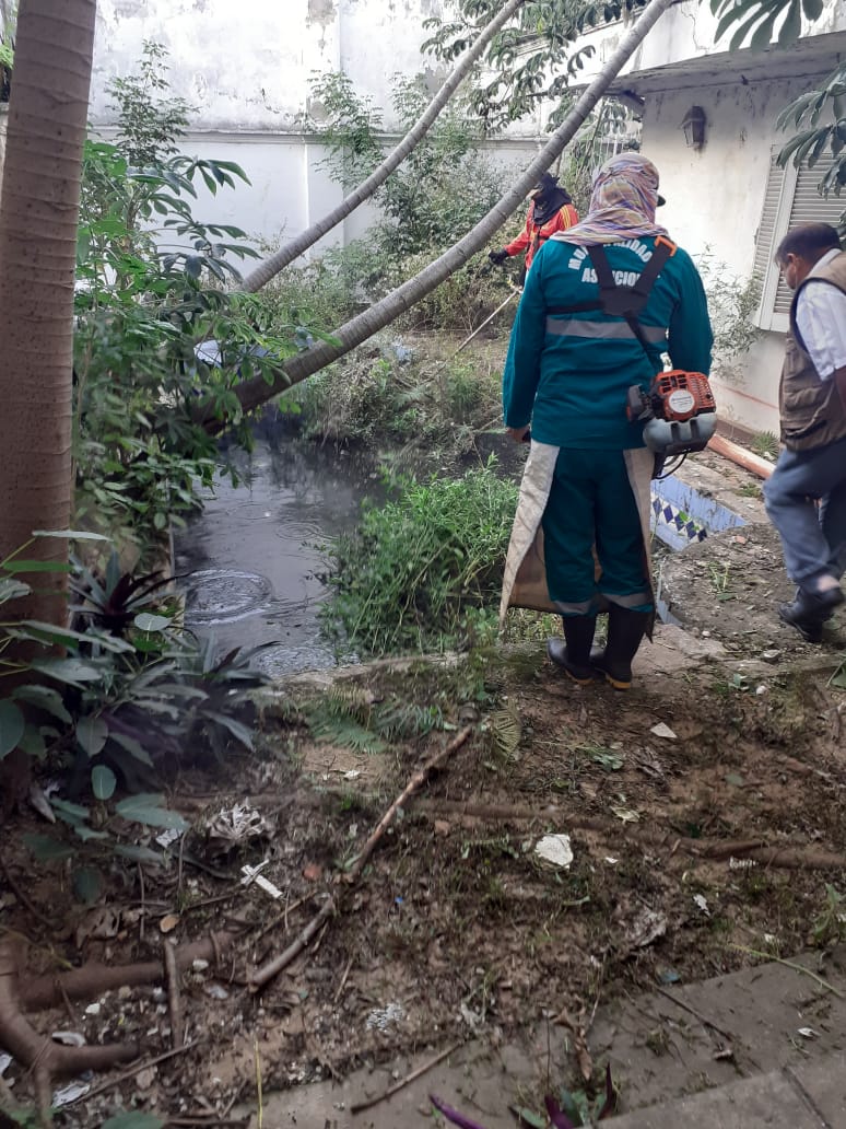 dgpm_asu's tweet photo. Seguimos insistiendo con la limpieza de los predios baldíos y el desagote de piletas, como medidas paliativas para combatir al Dengue.
Compañeros de Vigilancia, intervinieron previa notificación en un operativo conjunto, un recinto ubicado en el B° San Rafael. 
#VigilanciaAsu https://t.co/4ADhy5XBnL