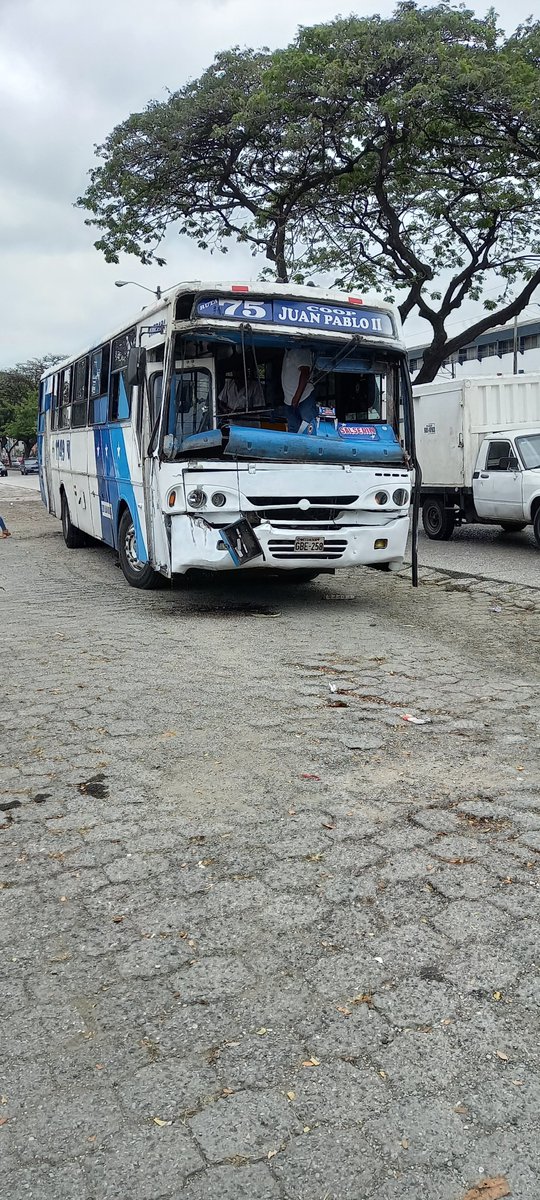 ~Shircath~ tweet media