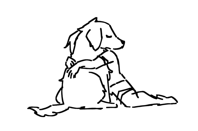 dog hug 