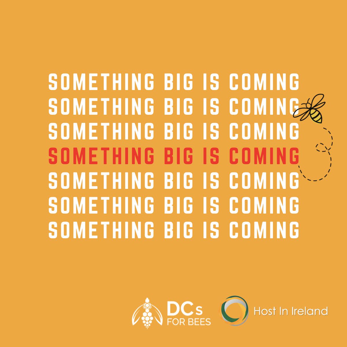 DCs for Bees is going BIGGER &amp; BETTER than ever before... Bee ready for the big news next week! #DCsForBees #HostInIreland 🐝🌳 🤫