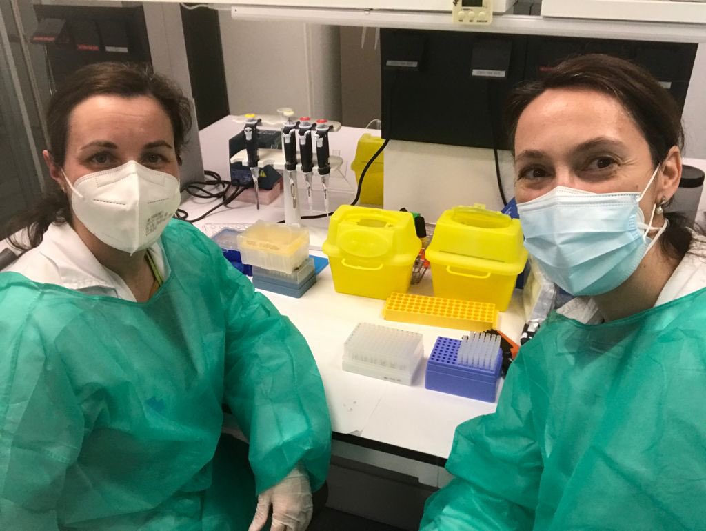 ElisaMartro's tweet photo. @BIOCOMSC1 @hgermanstrias @IrsiCaixa Thanks @BIOCOMSC1 &amp; @prats_clara !
So happy that the daily effort from the #CanRutiSequencingHub with @SaludesVeronica @Svartakraken @MerGuMu and many other colleagues at #LCMN @hgermanstrias @GTRecerca and @IrsiCaixa has contributted to this interesting #SARSCoV2 B.1.1.7 report https://t.co/J631UDyEQ1