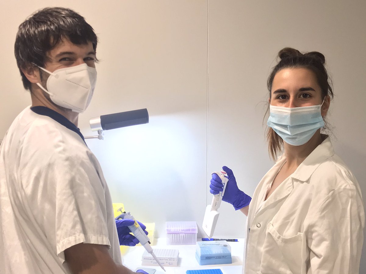 ElisaMartro's tweet photo. @BIOCOMSC1 @hgermanstrias @IrsiCaixa Thanks @BIOCOMSC1 &amp; @prats_clara !
So happy that the daily effort from the #CanRutiSequencingHub with @SaludesVeronica @Svartakraken @MerGuMu and many other colleagues at #LCMN @hgermanstrias @GTRecerca and @IrsiCaixa has contributted to this interesting #SARSCoV2 B.1.1.7 report https://t.co/J631UDyEQ1