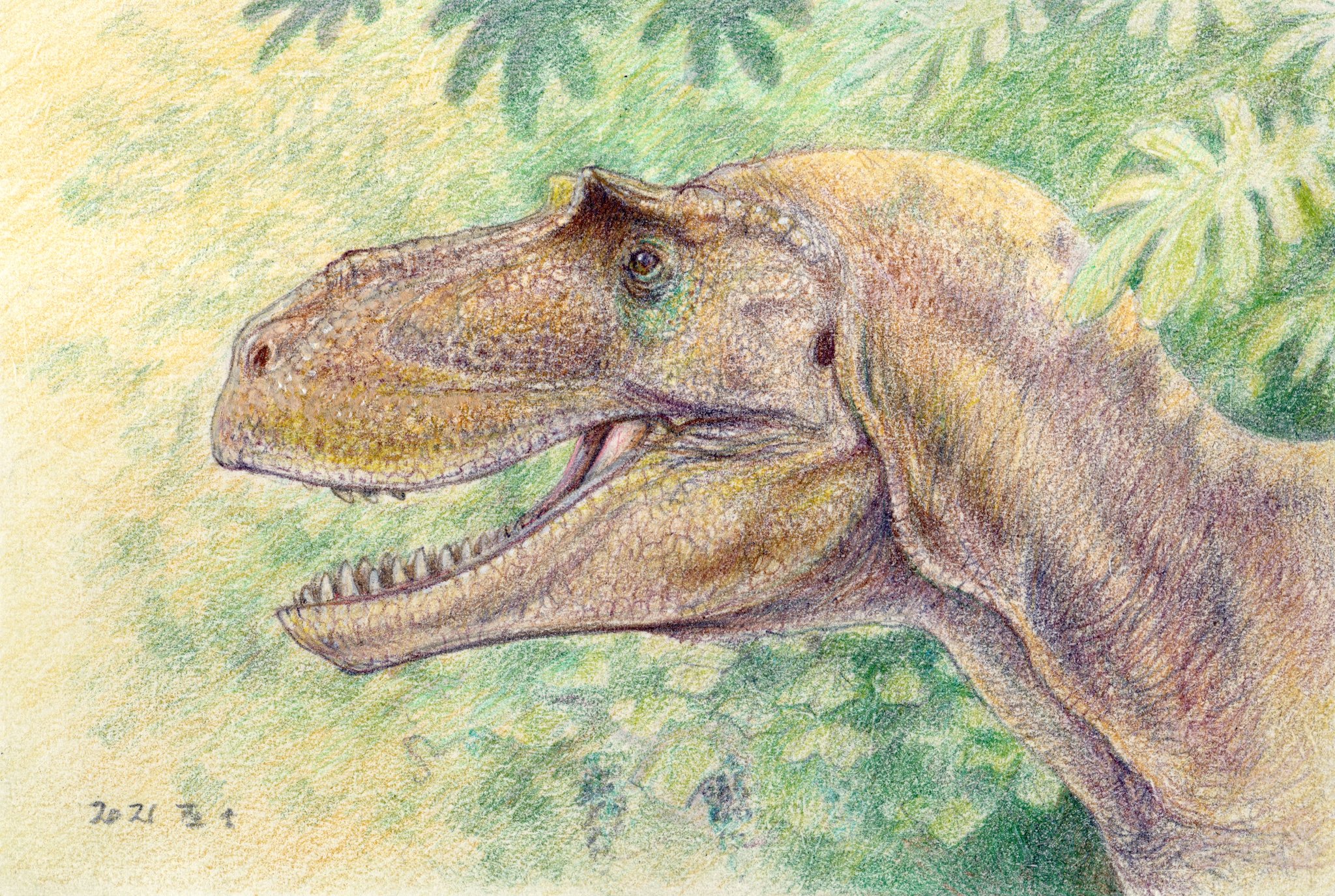 ニ*ノ様 原画 キャンバス C-REX 抽象画 恐竜 #146 ニ*ノ様