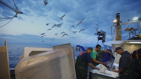CineONU's tweet photo. 🗣️ To mark @WorldOceansDay please join us for the Ciné-ONU and @oceana online screening of #SilentFish on June 8 at 7PM (CET) 📽️
To register and join the post-screening discussion, with wonderful experts in the field click here ➡️ https://t.co/07bTJlrzZG all are welcome! https://t.co/EpeCb9hnqn