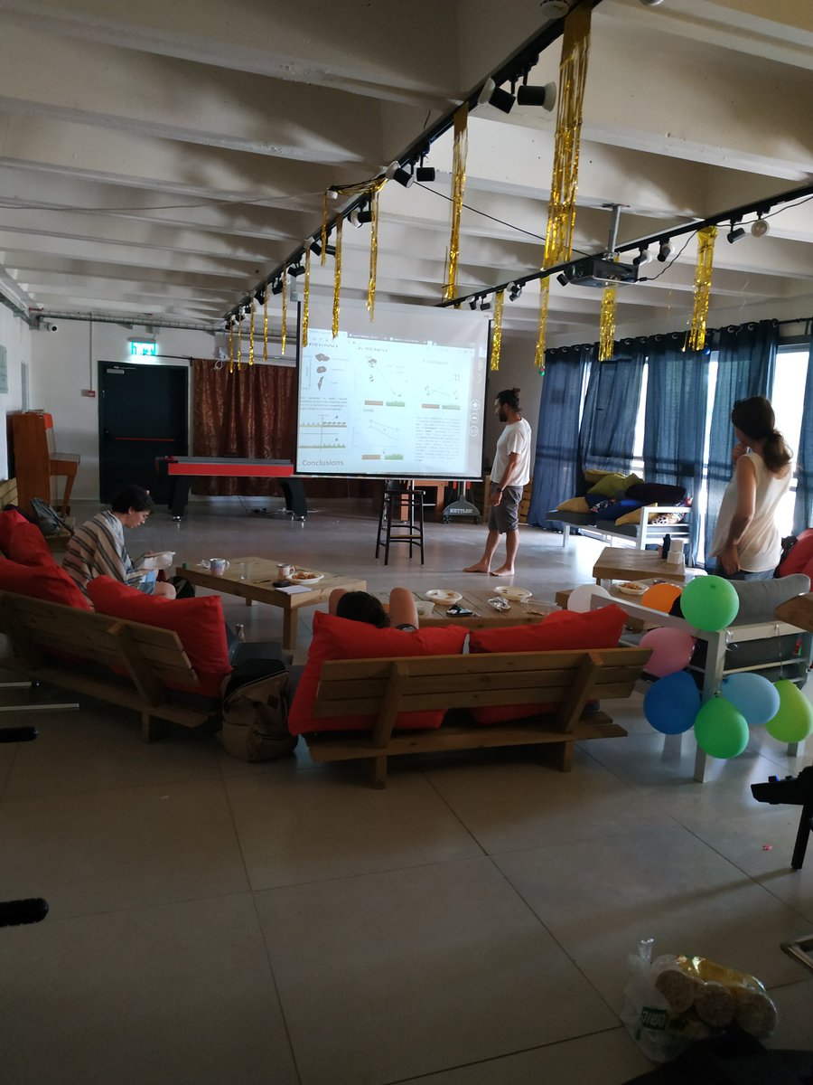 Merav Seifan tweet media