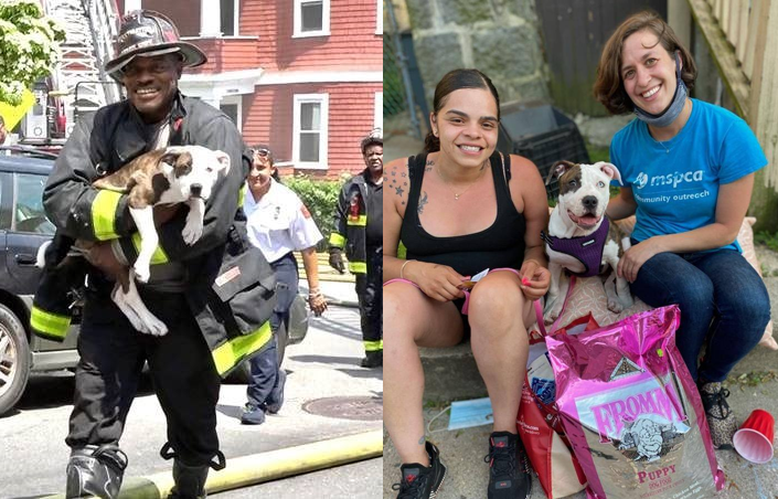 MspcaAngell's tweet photo. Thank you to @BostonFire for saving Nina! And thank you, @sjforman138 for the fireman photo.

Many of the families and pets displaced by the 7-alarm fire in Dorchester yesterday are clients and friends to the MSPCA, including Nina and her mom Brittany. https://t.co/EFZB7fcWwn