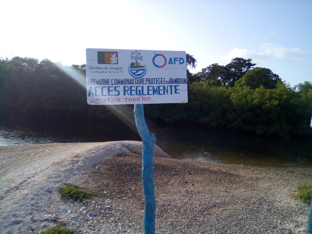 CaravaneSenegal's tweet photo. Notre guide Bakari le guide la zone !!!! https://t.co/MtKSrb485A