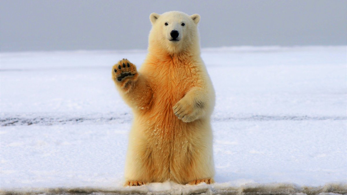 Traumjob: B2B-Kommunikation bei <a href="/OliverWyman/">Oliver Wyman</a> in meinem Team in #München. Du brauchst mindestens 3 Jahre Erfahrung bei PR, Social Media und Events.

Senior Associate gesucht! Details sind hier:
linkedin.com/posts/andreast…