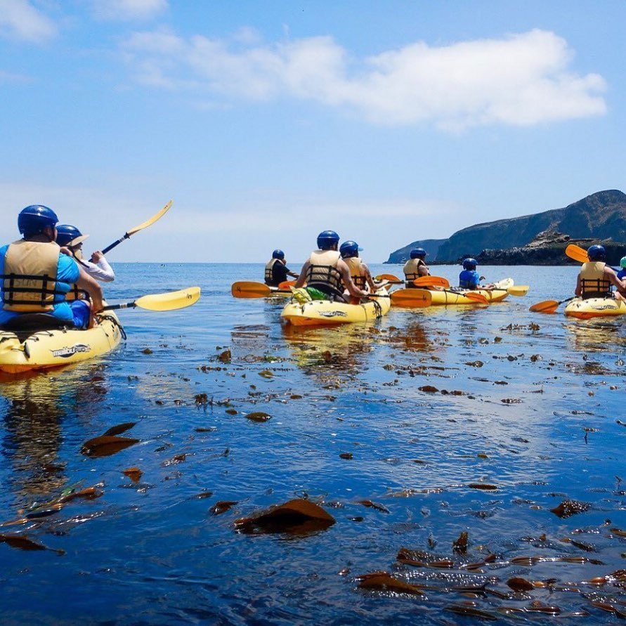 LADistrictUSACE's tweet image. Wearing a life jacket helps ensure your survival and reduces first responder recovery missions. 

Take this FREE course to sharpen your paddle-sport skills @ boaterexam.com/paddling. 

@CIHarbor photo 

@pleasewearit #USACEeducates #SafeBoatingWeek
