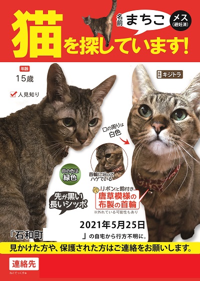 ねこてっくす 迷子猫 迷子鳥 迷子犬 迷子ペット チラシ制作 Necotex Twitter