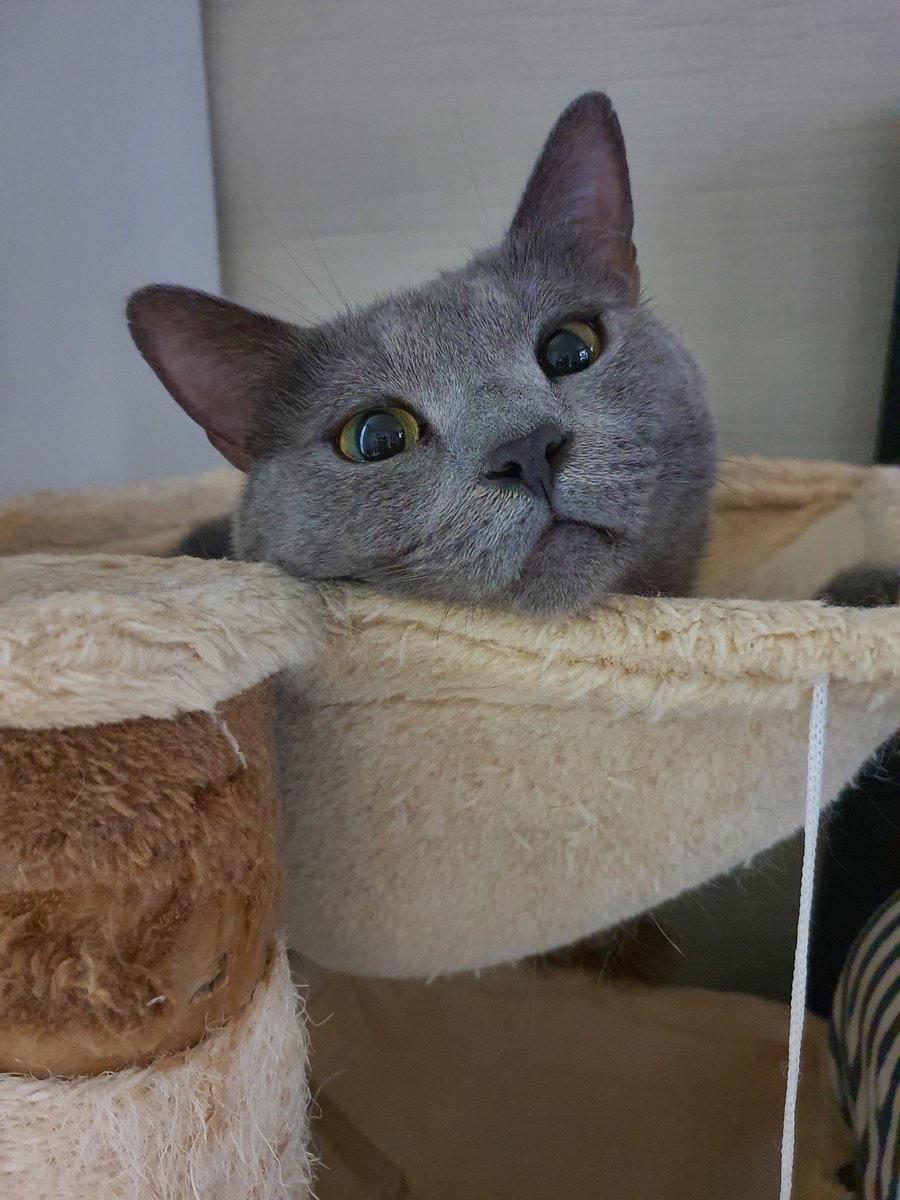 아 진짜 예뻐ㅠㅠ