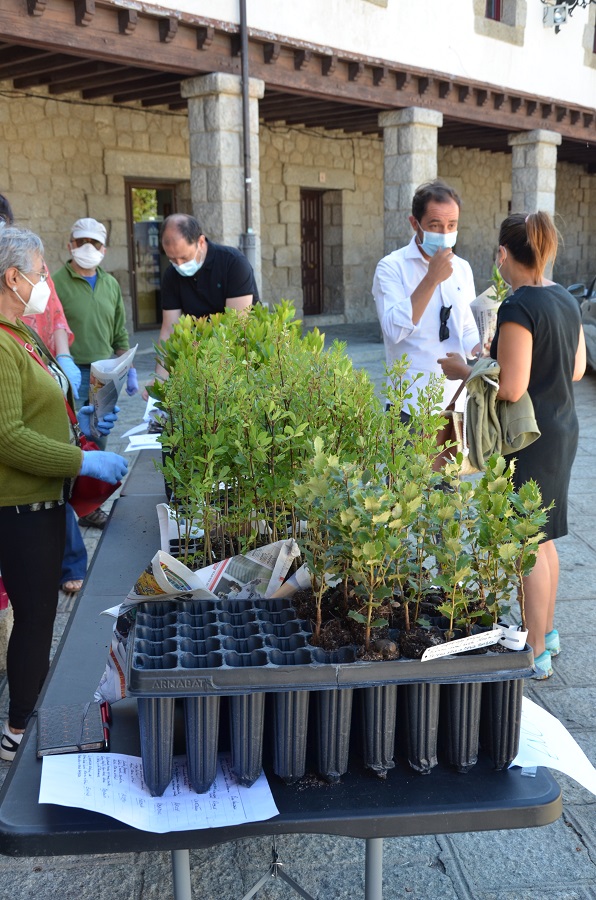 🔸MUNICIPIOS| #Guadarrama
🌳🌎Guadarrama celebrará el día mundial del medio ambiente con reparto de árboles y una jornada de plogging. Además, el rebaño de la trashumancia visitará Guadarrama este sábado en su camino hacia el Norte. #SierraMadrileña
sierramadrid.es/noticias/15308…