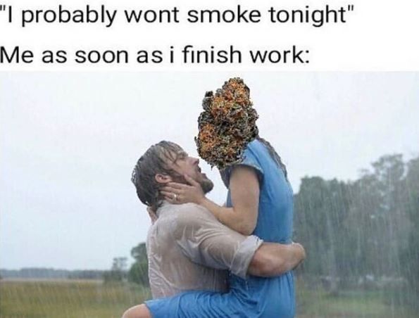 WorldOfBongz's tweet image. I already know I'm lying 😂